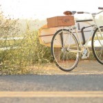 Retro and Cool Bike, The Almond X Linus Summer Edition bike_3