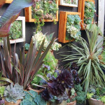 Green your Wall with Vertical Garden Planters_9