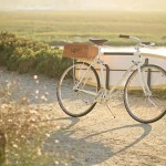 Retro and Cool Bike: The Almond X Linus Summer Edition bike